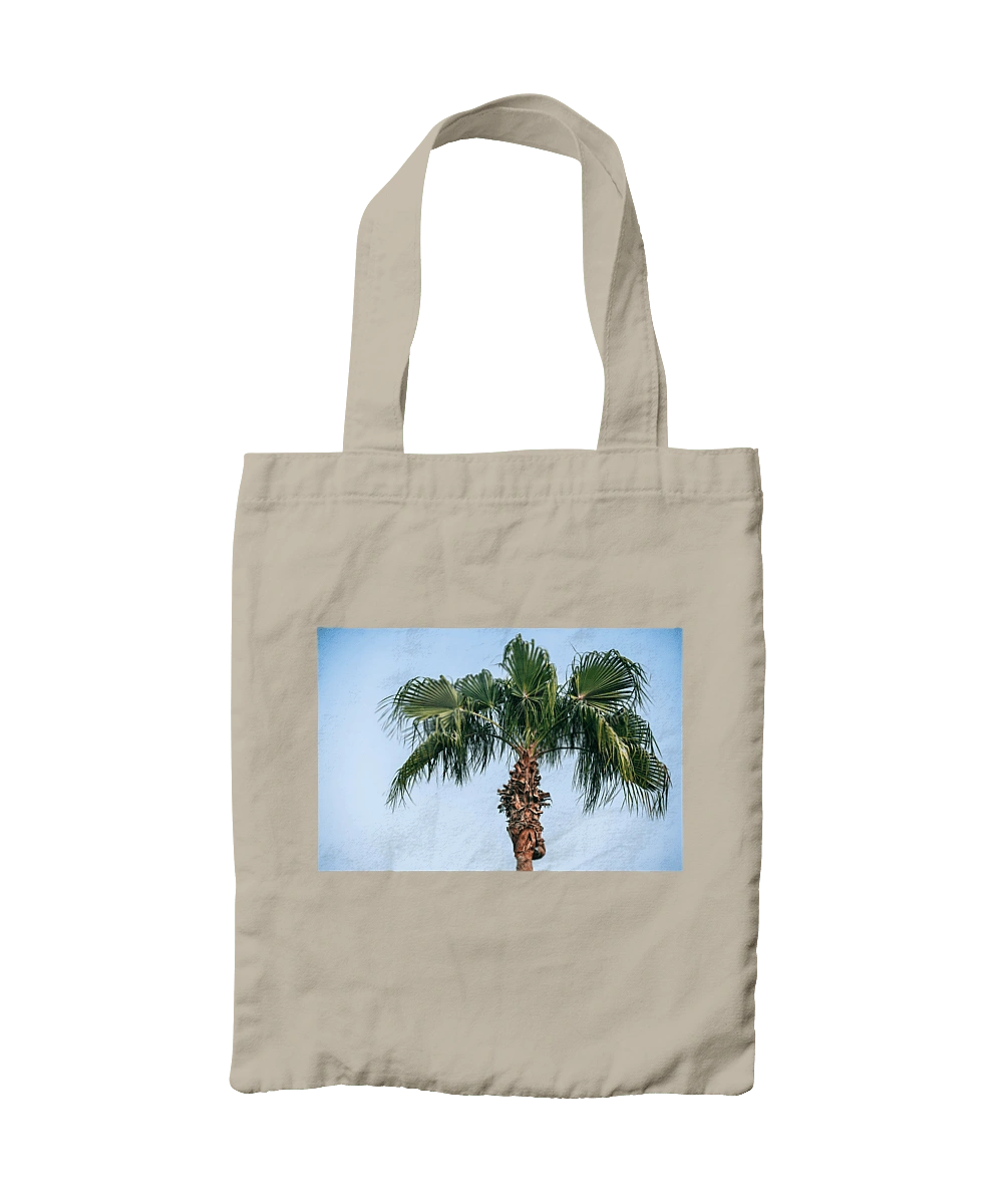 Пальма на тлі неба