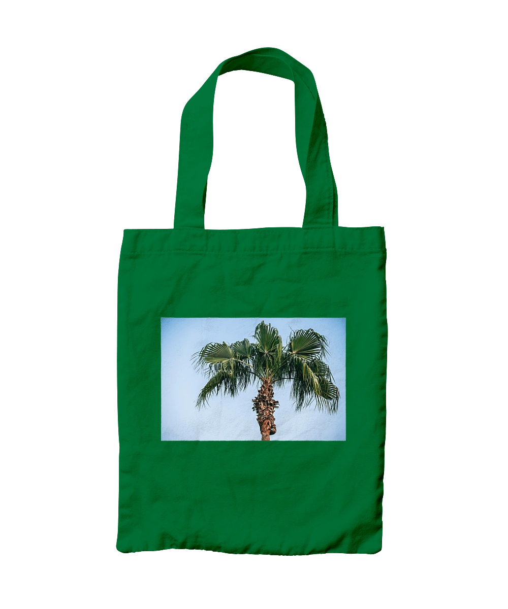 Пальма на фоне неба