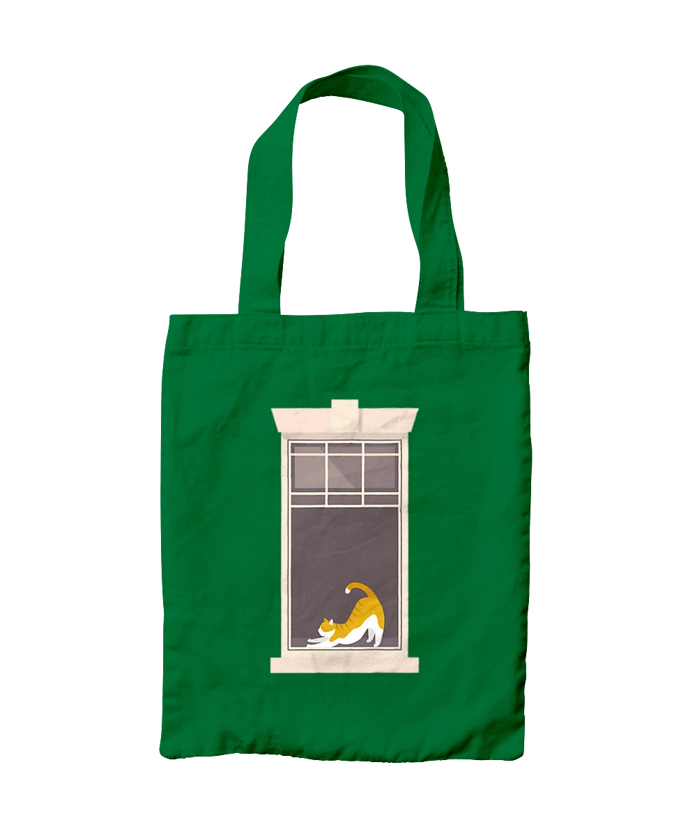 Кіт В Вікні