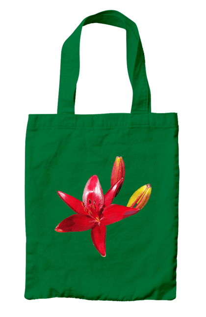 Сумка з принтом "Червона лілія". Бутон, квітка, колір, лілія, природа, сонячний, червона квітка, червона лілія, червоний, яскравий. 2070702