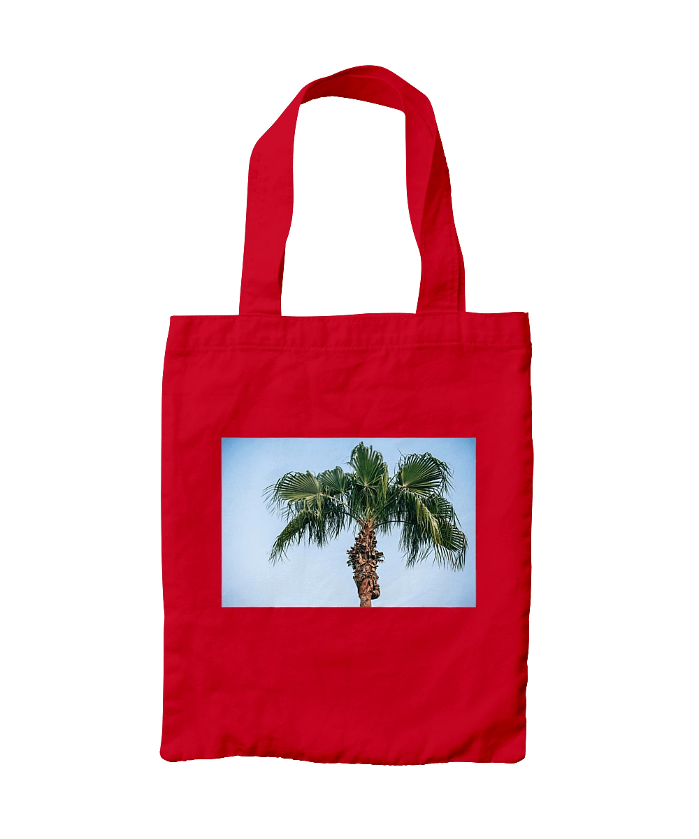 Пальма на тлі неба