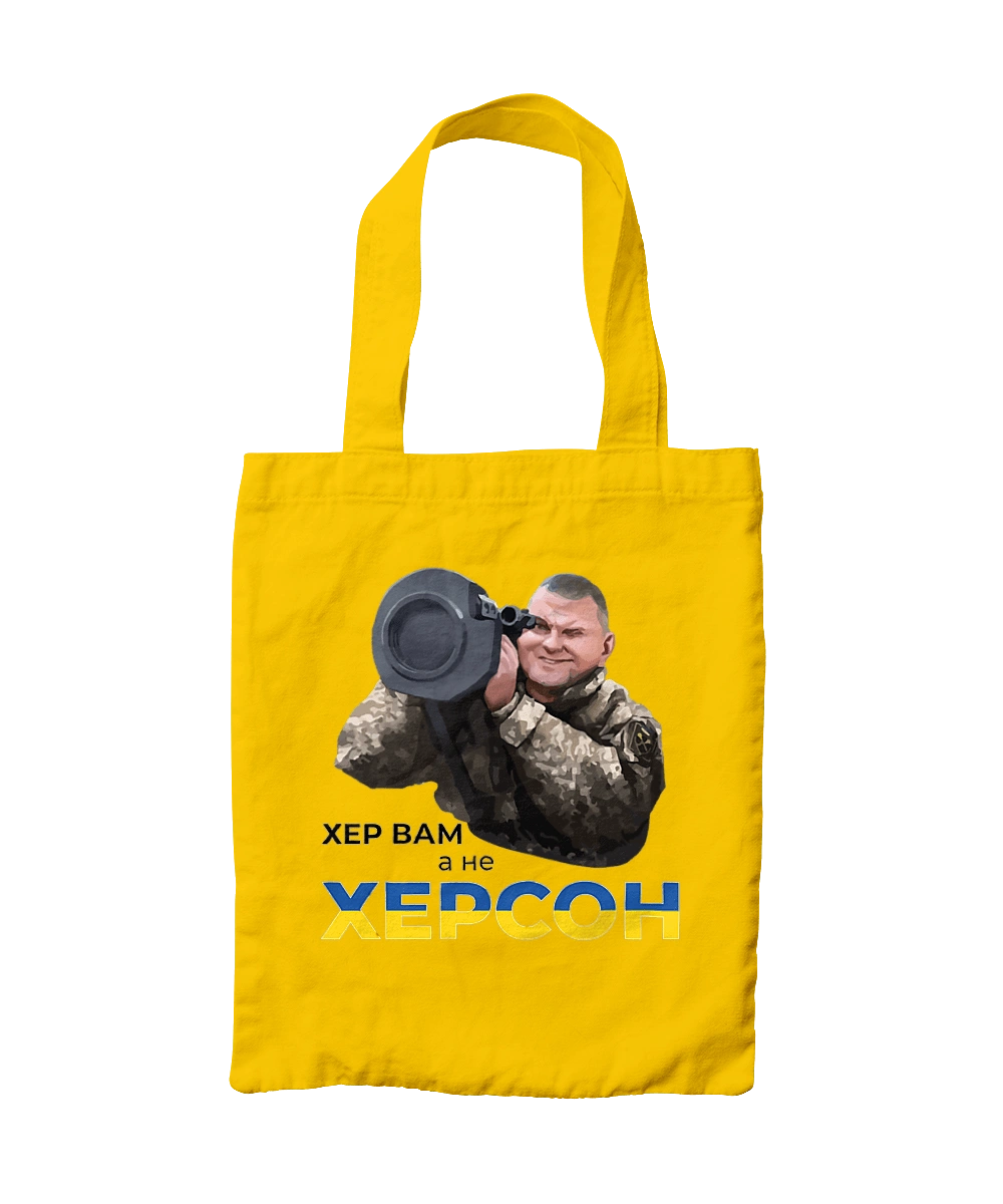 Залужный о Херсоне