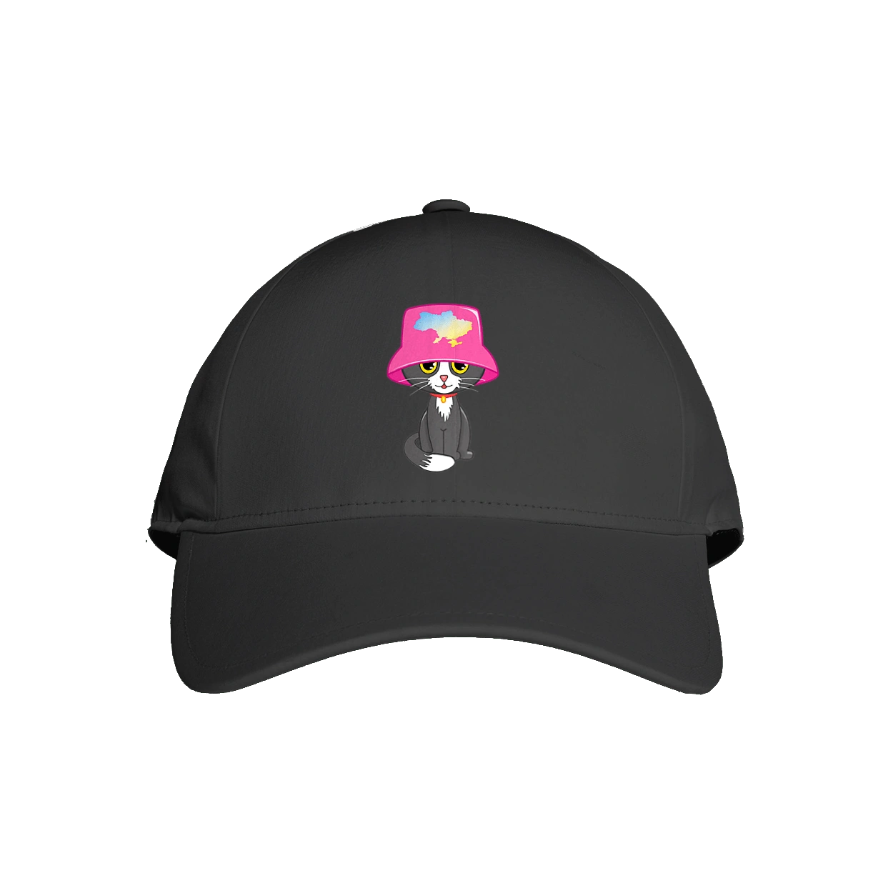 Котик з картою україни