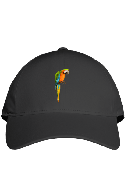 Кепка з принтом "Просто Папуга". Папуга, пташка. 2070702