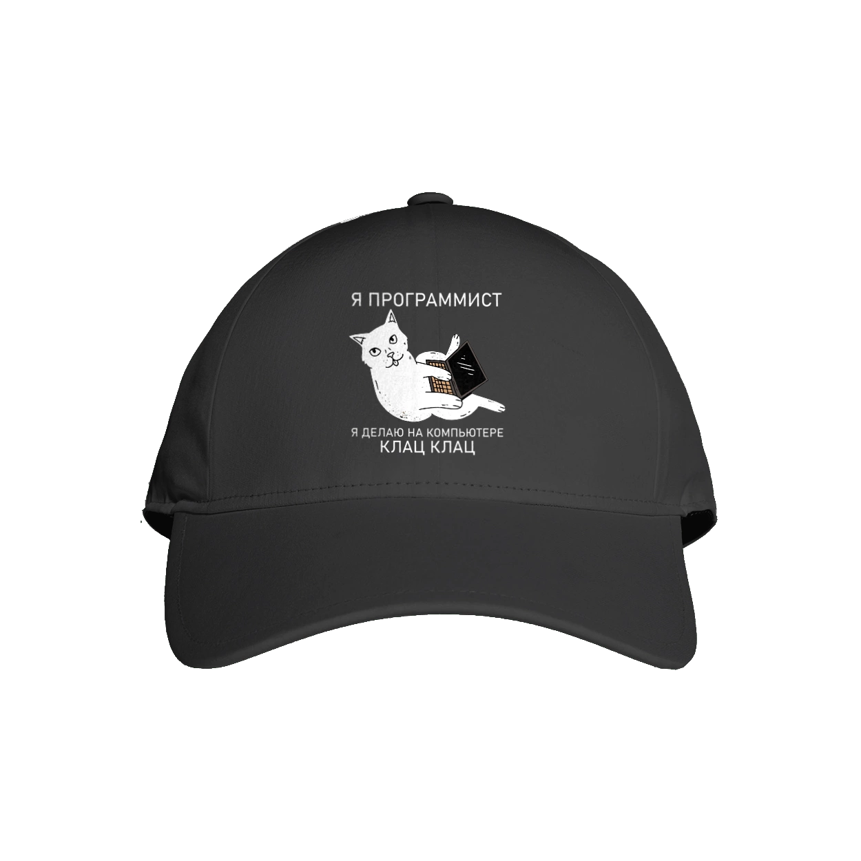 Кіт програміст