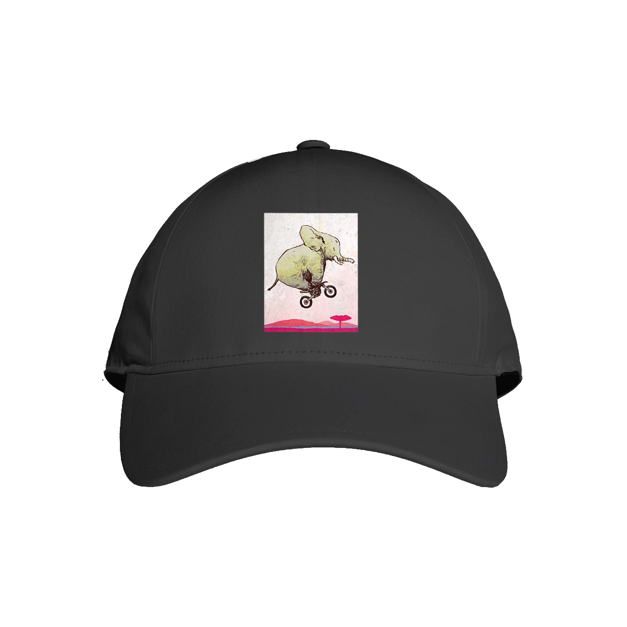 Elephant On A Motorcycle