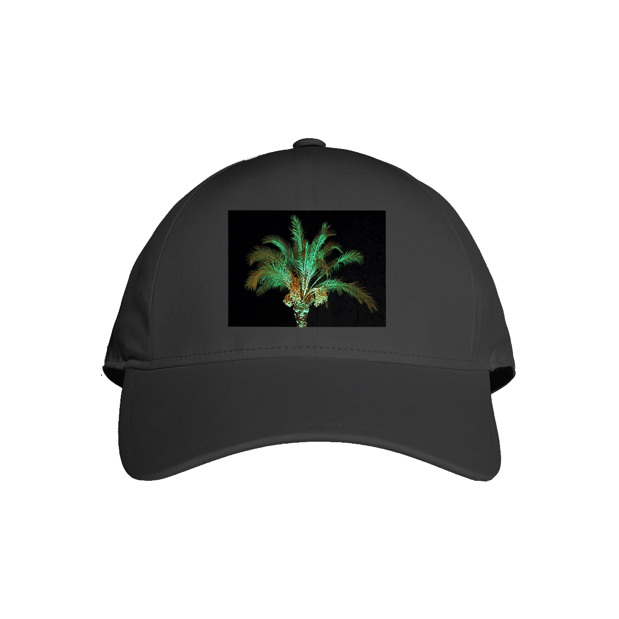 Фінікова Пальма Вночі