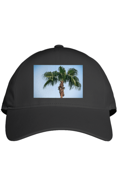 Кепка з принтом "Пальма на тлі неба". Берег, блакитне, відпочинок, відпустку, єгипет, зелений, зелені, лист, листя, море, небо, оазис, океан, острів, пальма, південь, подорож, пригоди, тропіки, туреччина. 2070702