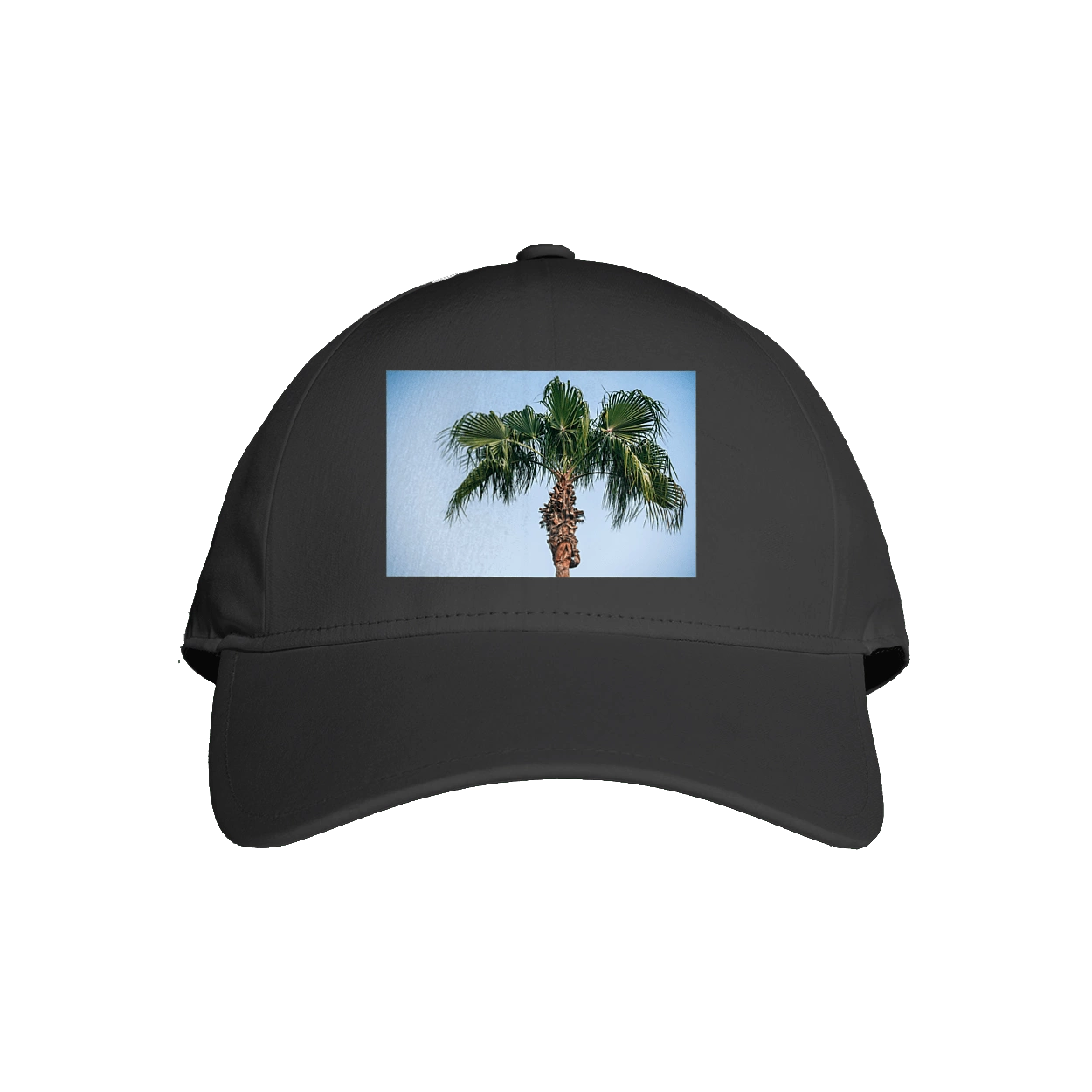 Пальма на тлі неба