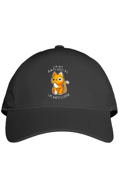 Кепка с принтом Не антисоциален, а антиглупый. Антиглупый, антисоциал, ирония, кот, мем, прикол, сарказм, хейт, цинизм, юмор. 2070702