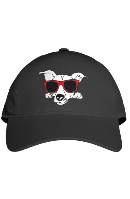 Кепка з принтом "Собака Визирає". Визирати, окуляри, собака. 2070702