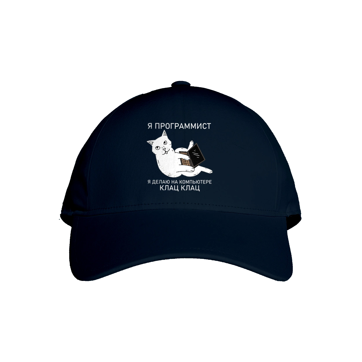 Кіт програміст