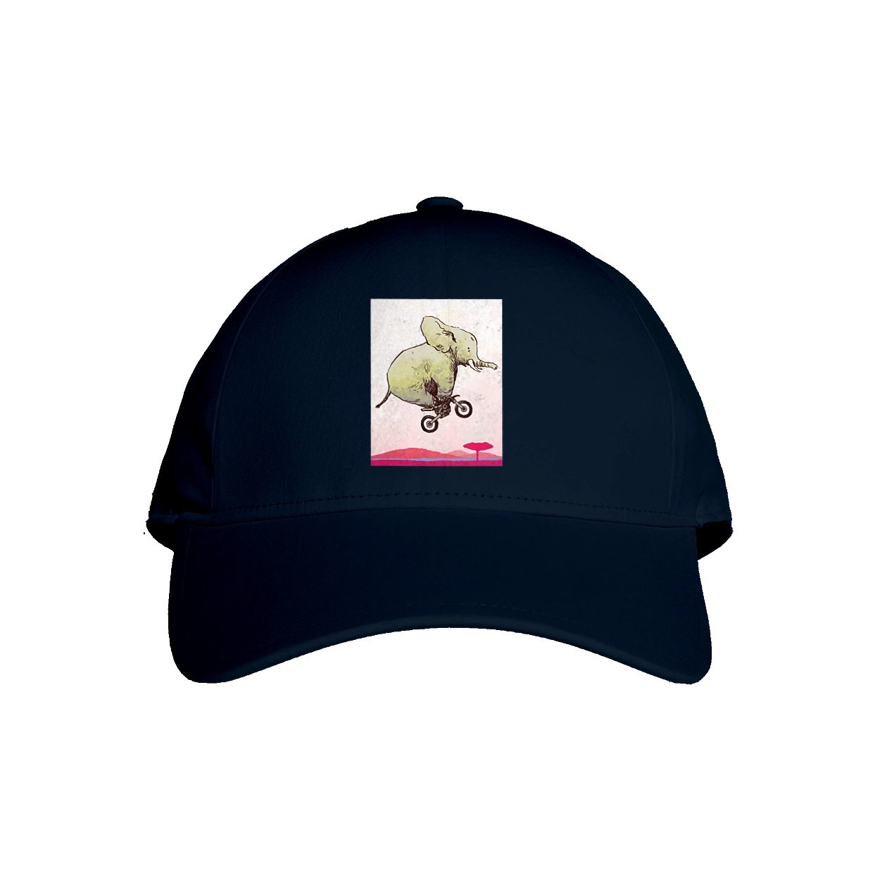 Elephant On A Motorcycle