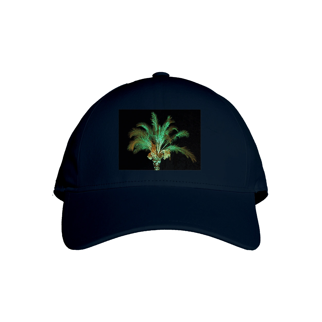 Фінікова Пальма Вночі