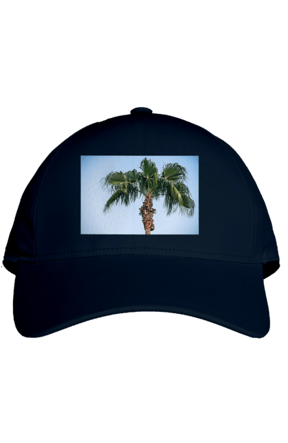 Кепка з принтом "Пальма на тлі неба". Берег, блакитне, відпочинок, відпустку, єгипет, зелений, зелені, лист, листя, море, небо, оазис, океан, острів, пальма, південь, подорож, пригоди, тропіки, туреччина. 2070702