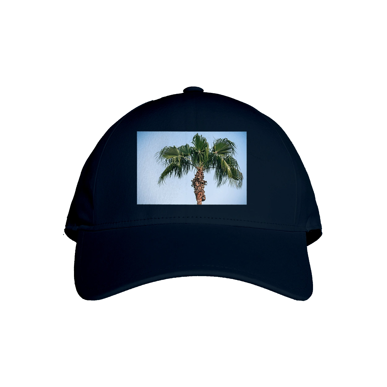 Пальма на фоне неба