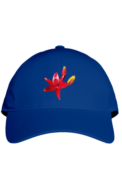 Cap with prints Red lily. Bright, bud, buds, color, flower, lily, nature, red, red flower, red lily, sunny. 2070702
