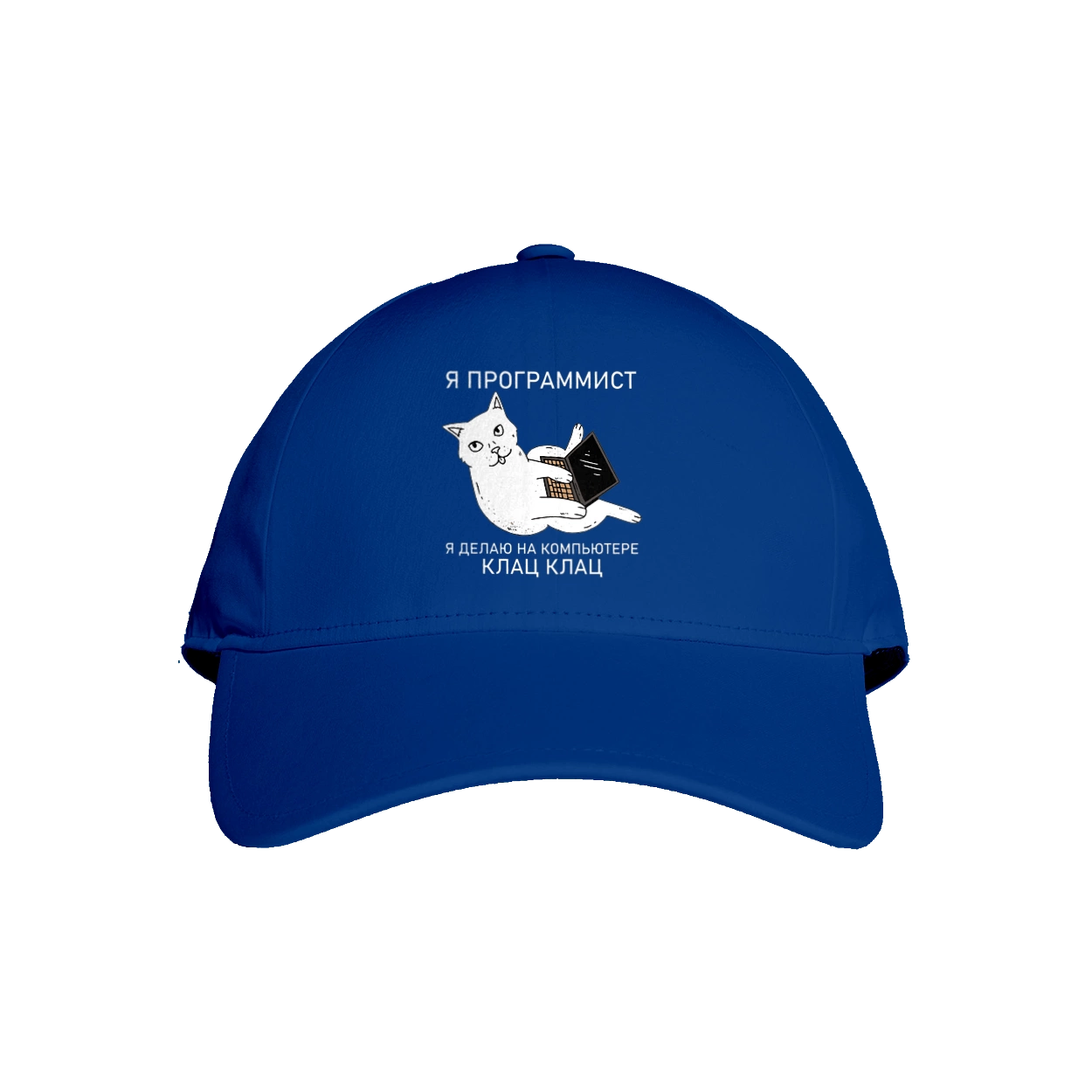 Кіт програміст