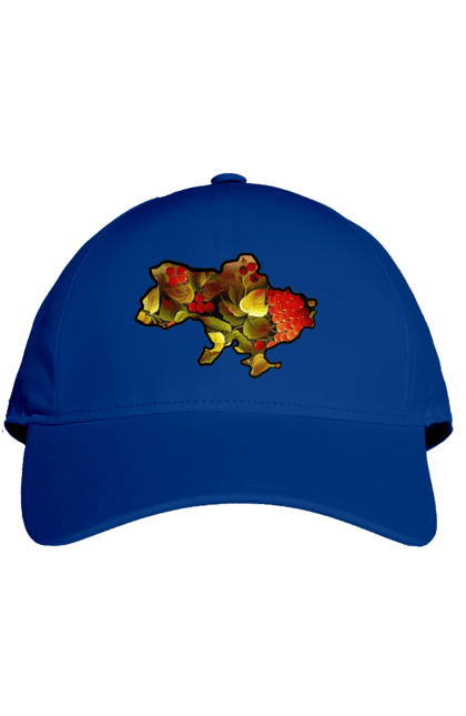 Кепка з принтом "Справжня Україна". Барви, квіти, кольору, краса, листя, настрій, україна. 2070702