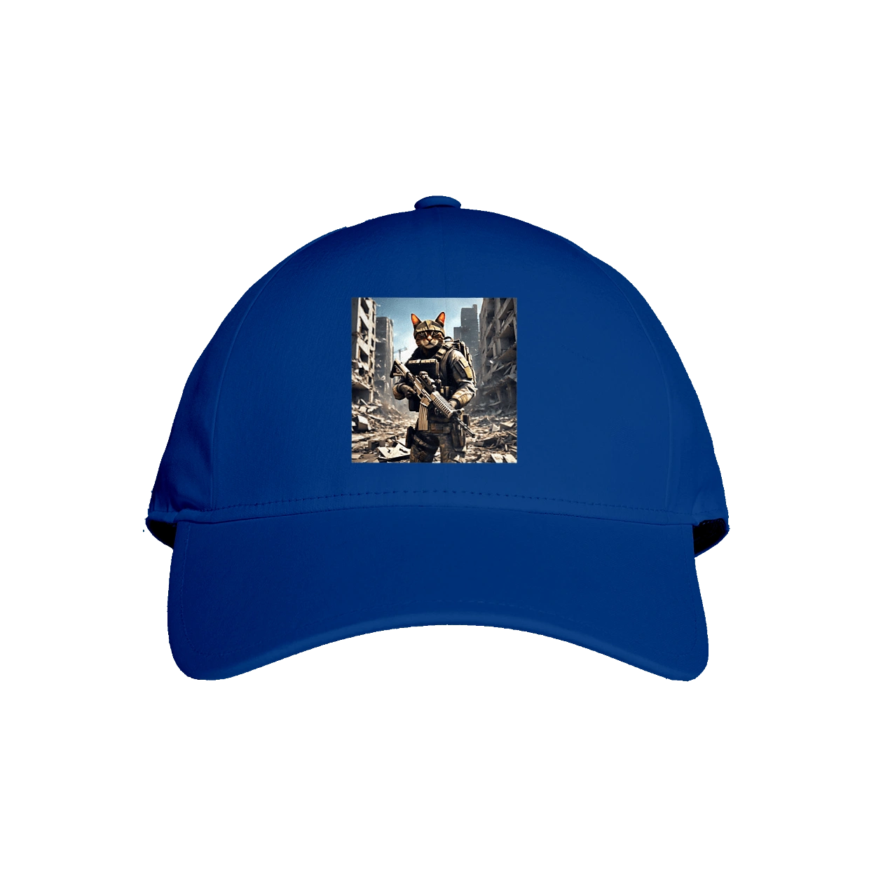 Кіт десантник