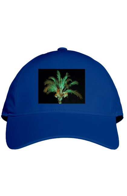 Кепка з принтом "Фінікова Пальма Вночі". Берег, відпочинок, відпустка, зелений, море, ніч, оазис, океан, острів, пальма, південь, подорож, пригоди, тропіки, фінікова, чорне. 2070702