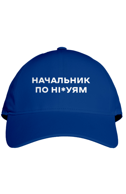 Кепка з принтом "Начальник по ні*уям біла". Для дорослих, з написами, з текстом, креативні, літні, прикольні. 2070702