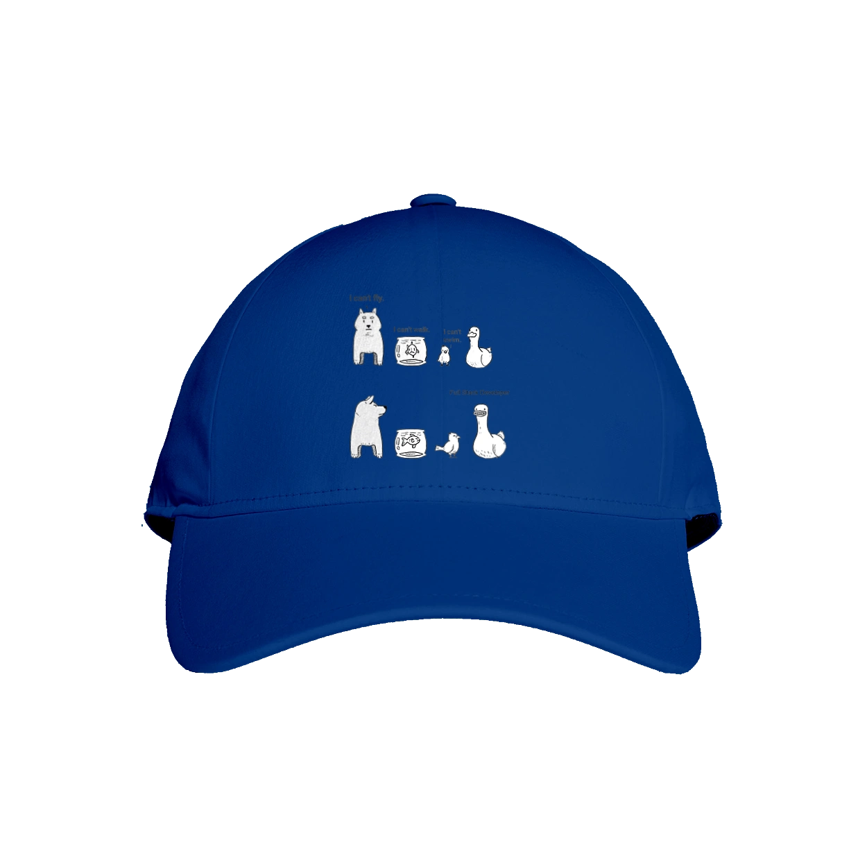 Full Stack Developer