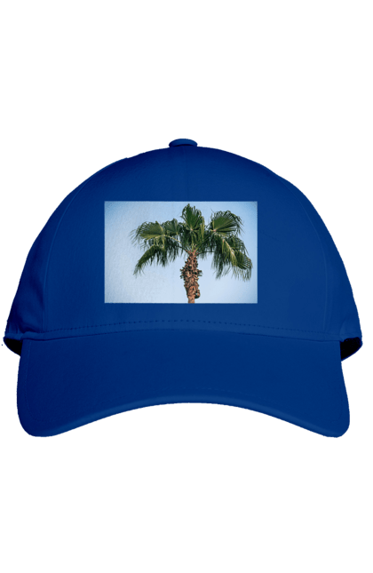 Кепка з принтом "Пальма на тлі неба". Берег, блакитне, відпочинок, відпустку, єгипет, зелений, зелені, лист, листя, море, небо, оазис, океан, острів, пальма, південь, подорож, пригоди, тропіки, туреччина. 2070702
