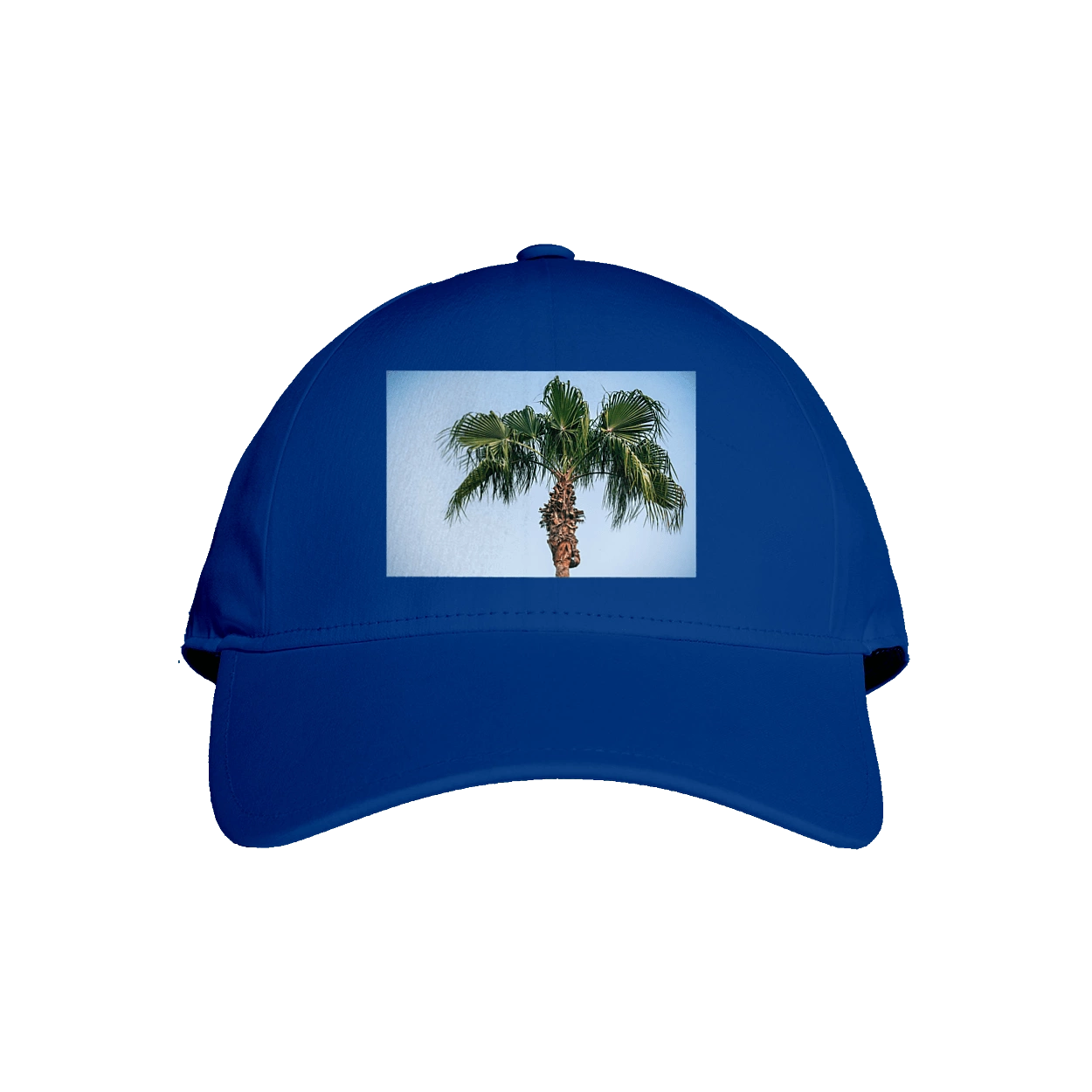 Пальма на фоне неба