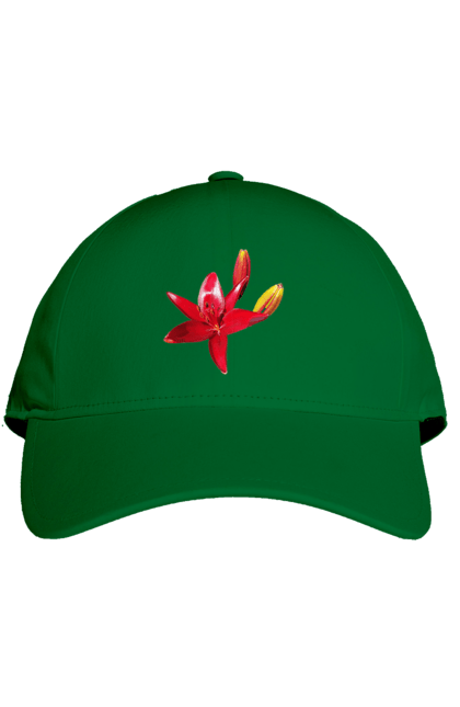 Кепка с принтом Красная лилия. Бутон, красная лилия, красный, красный цветок, лилия, природа, солнечный, цвет, цветок, яркий. 2070702
