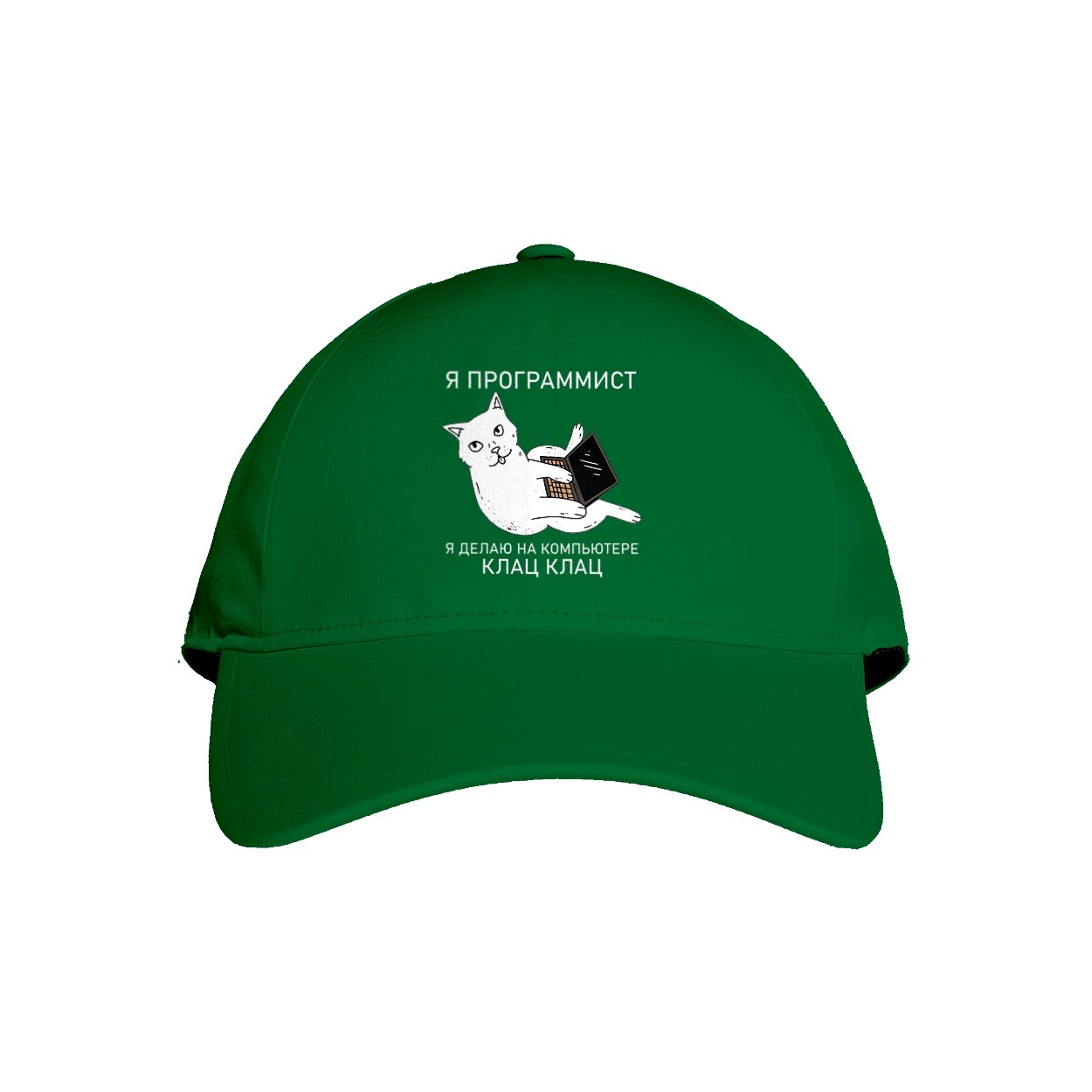 Кіт програміст