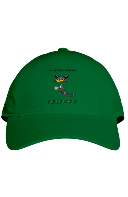 Кепка з принтом "Друзі, вже біжу". Вже біжу, відвали, друзі, йди нахуй, кіт з чашкою, не вчіть жити, пародія серіал, сам собі друг, самотність сука, серіал кіт. 2070702