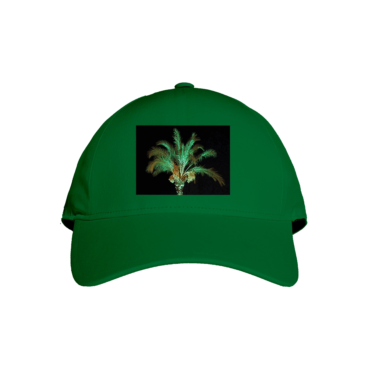 Фінікова Пальма Вночі