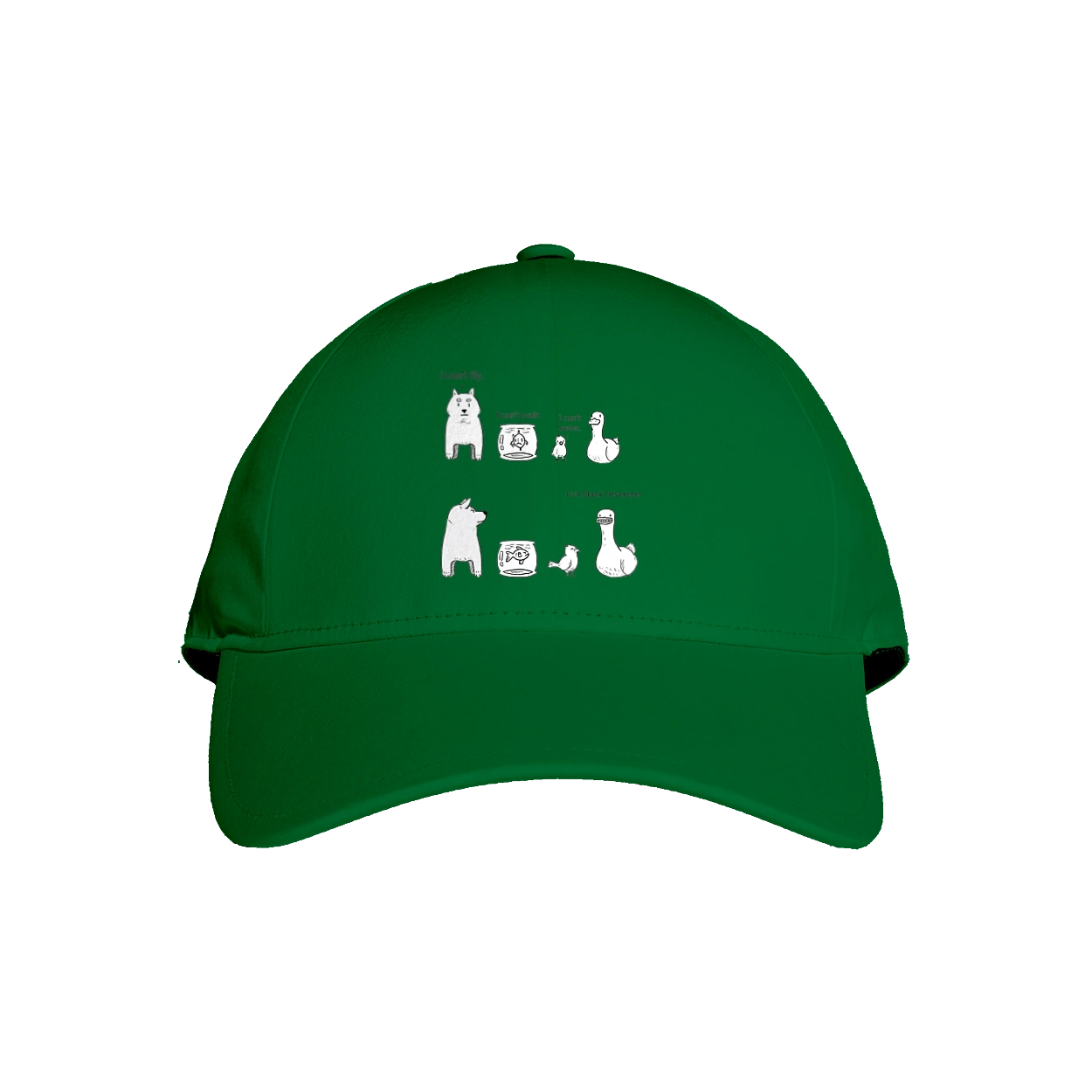 Full Stack Developer