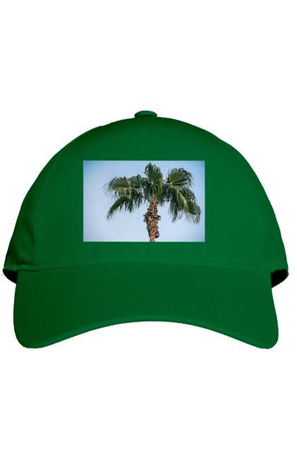 Кепка з принтом "Пальма на тлі неба". Берег, блакитне, відпочинок, відпустку, єгипет, зелений, зелені, лист, листя, море, небо, оазис, океан, острів, пальма, південь, подорож, пригоди, тропіки, туреччина. 2070702