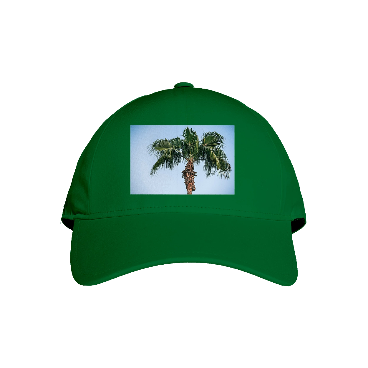 Palm tree against the sky