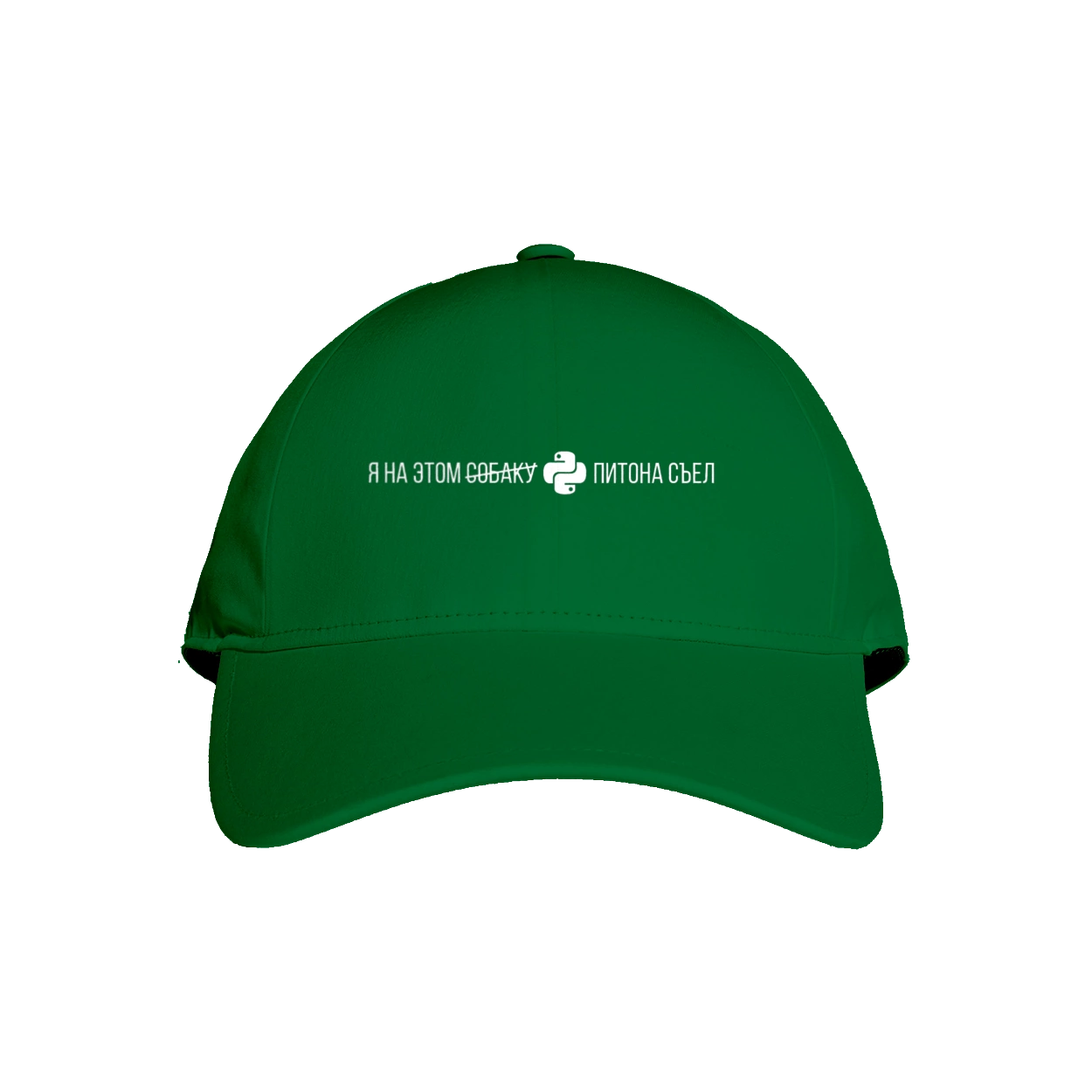 I ate a PYTHON on this