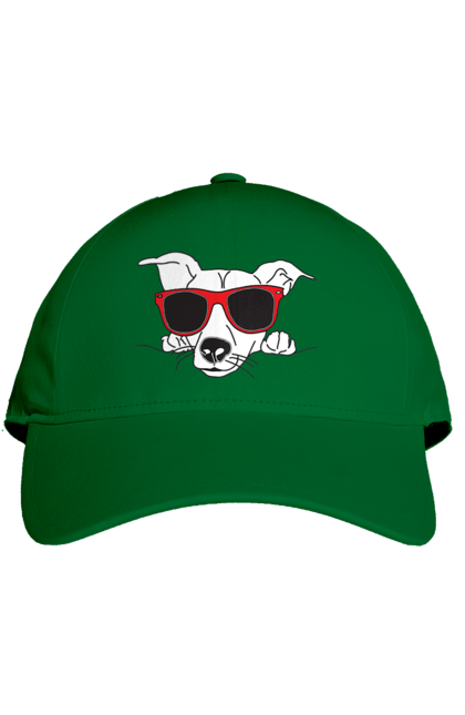 Кепка с принтом Собака Выглядывает. Выглядывать, очки, собака. 2070702