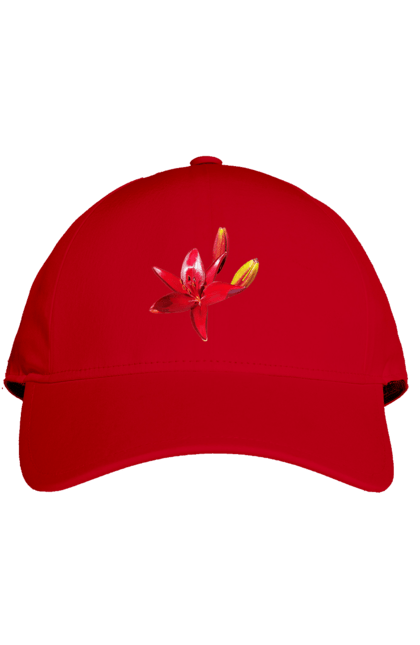 Кепка з принтом "Червона лілія". Бутон, квітка, колір, лілія, природа, сонячний, червона квітка, червона лілія, червоний, яскравий. 2070702