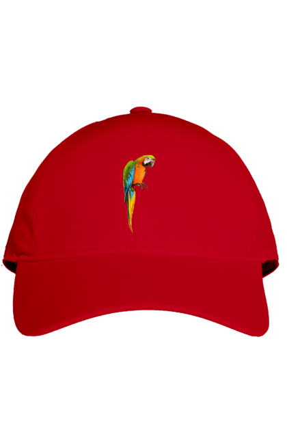 Кепка з принтом "Просто Папуга". Папуга, пташка. 2070702