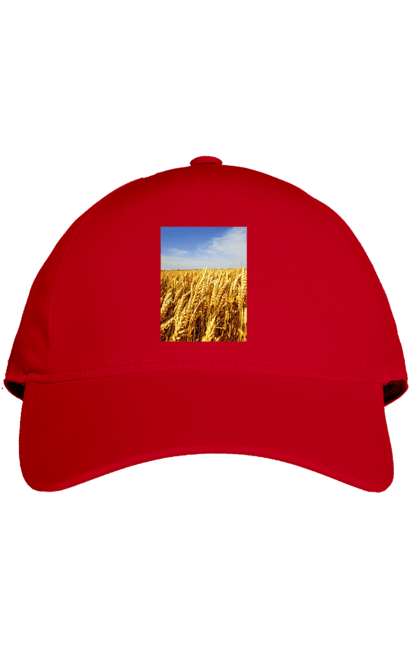 Кепка з принтом "Україна". Голубизна, красота, небо, поле, природа, пшеница. 2070702