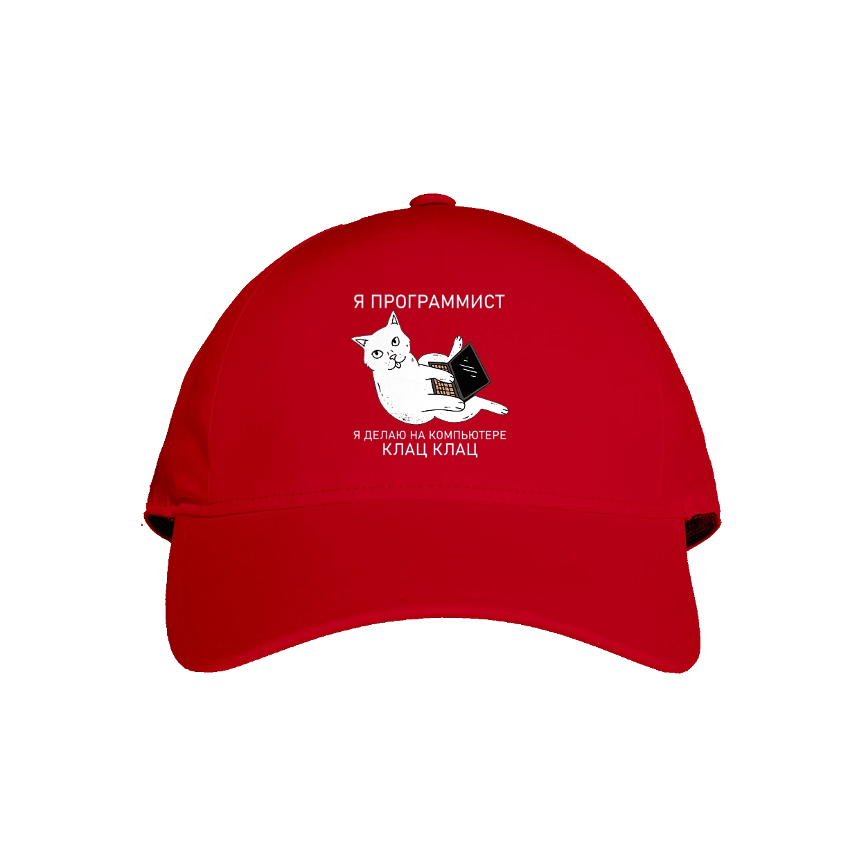 Кіт програміст