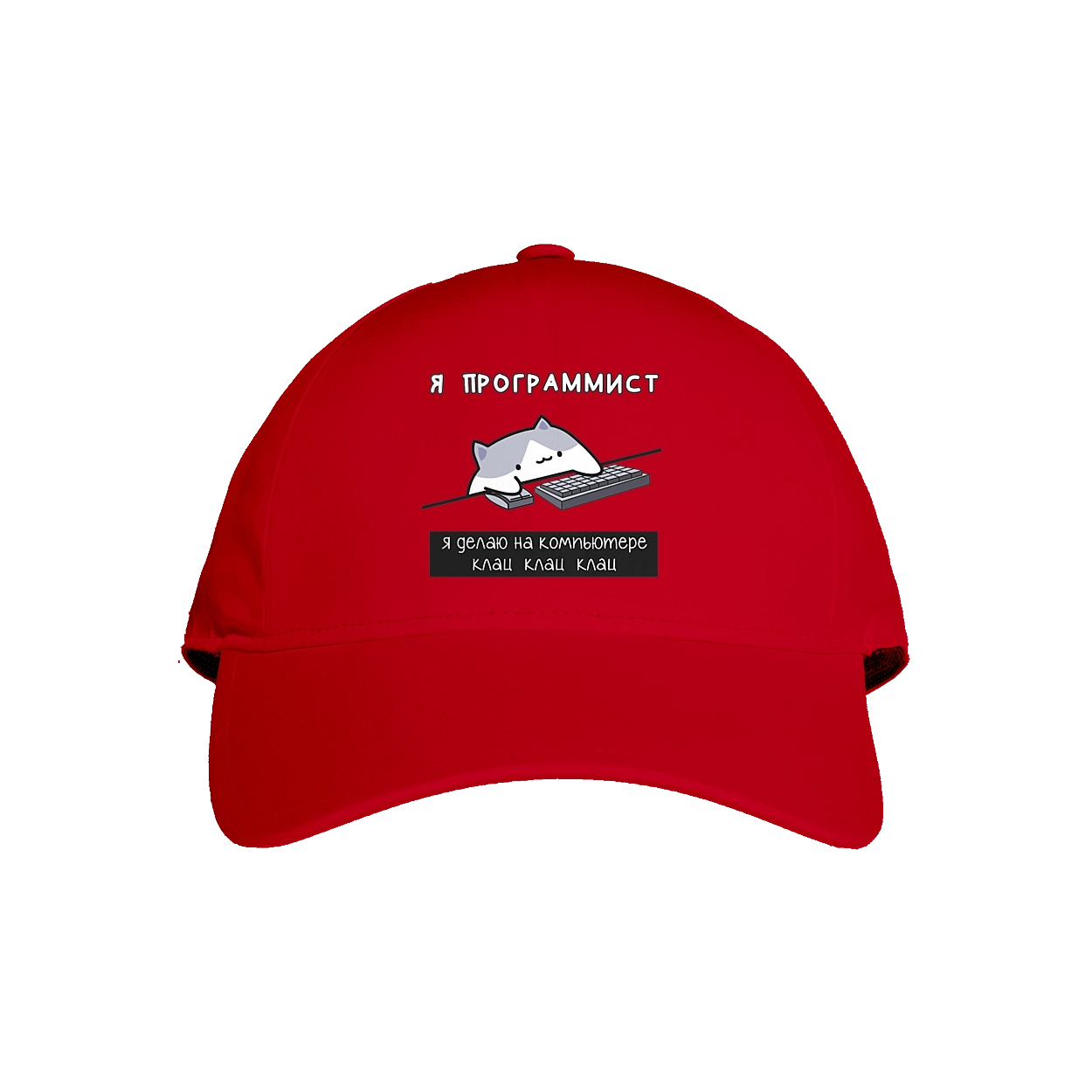 I am a computer programmer