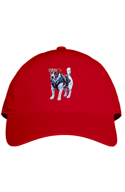 Кепка з принтом "Пес Патрон". Зсу, патрон, пес, пес патрон, україна. 2070702