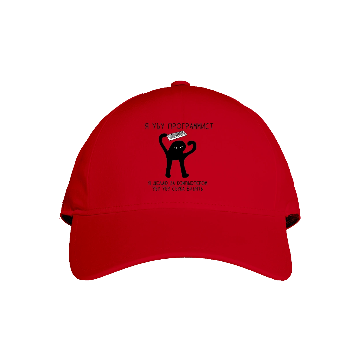 I am a computer programmer