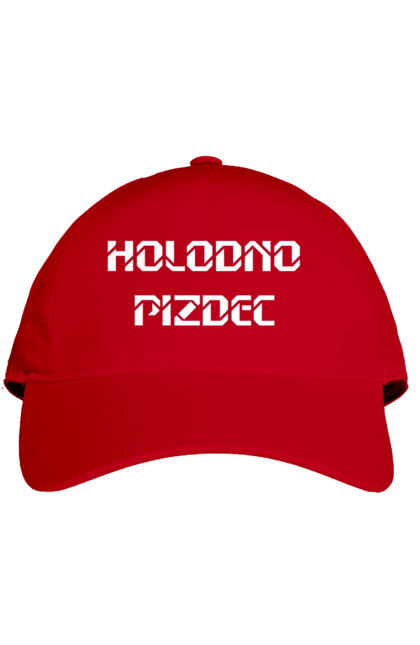 Кепка з принтом "Холодно". Гумор, з прикольним написом, зима, мем, погода, смішна, холодно. 2070702