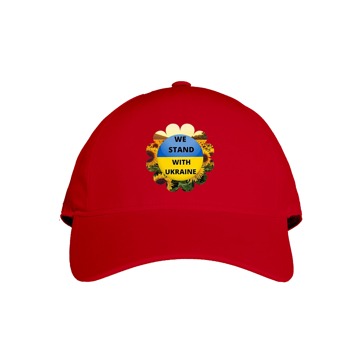 Ми з україною