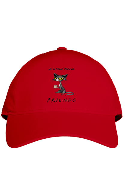 Кепка з принтом "Друзі, вже біжу". Вже біжу, відвали, друзі, йди нахуй, кіт з чашкою, не вчіть жити, пародія серіал, сам собі друг, самотність сука, серіал кіт. 2070702