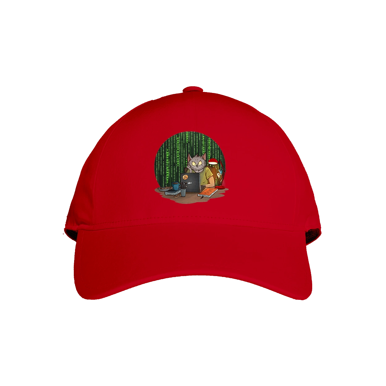 Кіт програміст