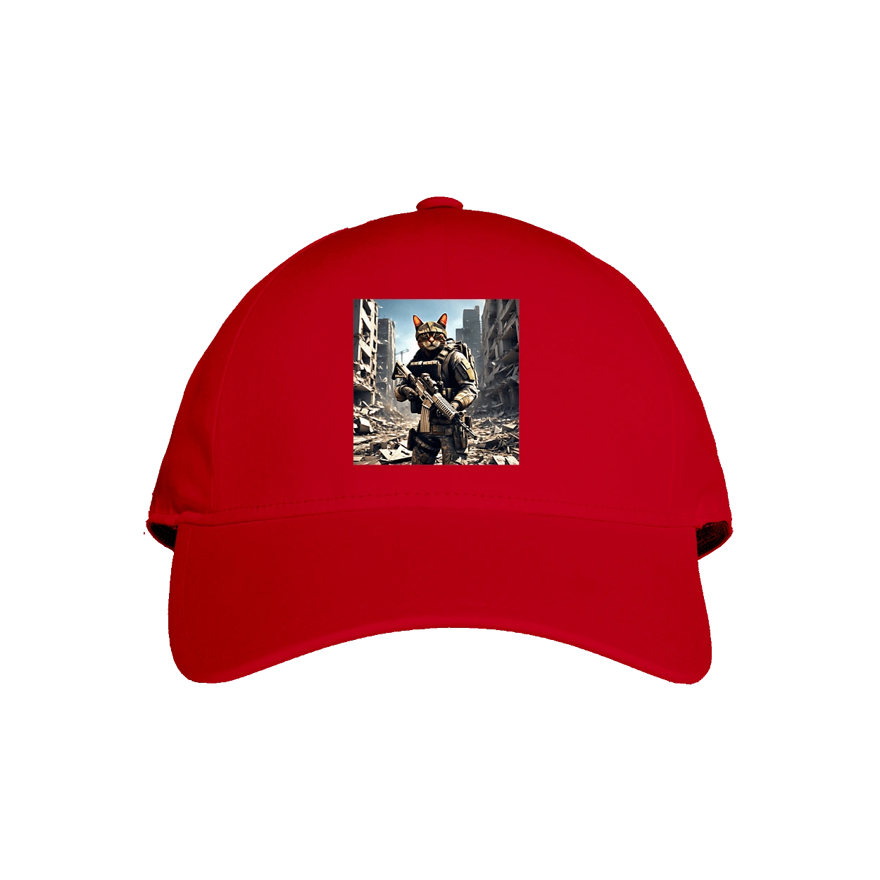 Кіт десантник